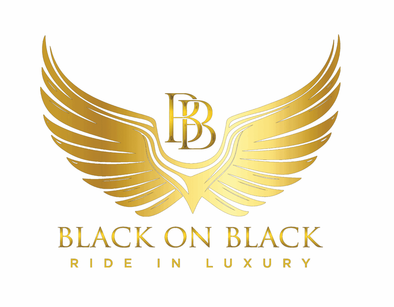 Black On Black Limo